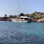 02cf0fba-40c8-42bb-a6d9-f479c1c8680e