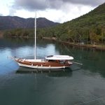 2781220e-8cca-498c-bb81-abdf6c9b9335