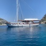 557ee333-7492-4eee-a207-0a02428a8e40