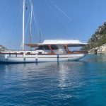 810e2a72-bea2-44fa-91fa-b8ce9cbd7a29