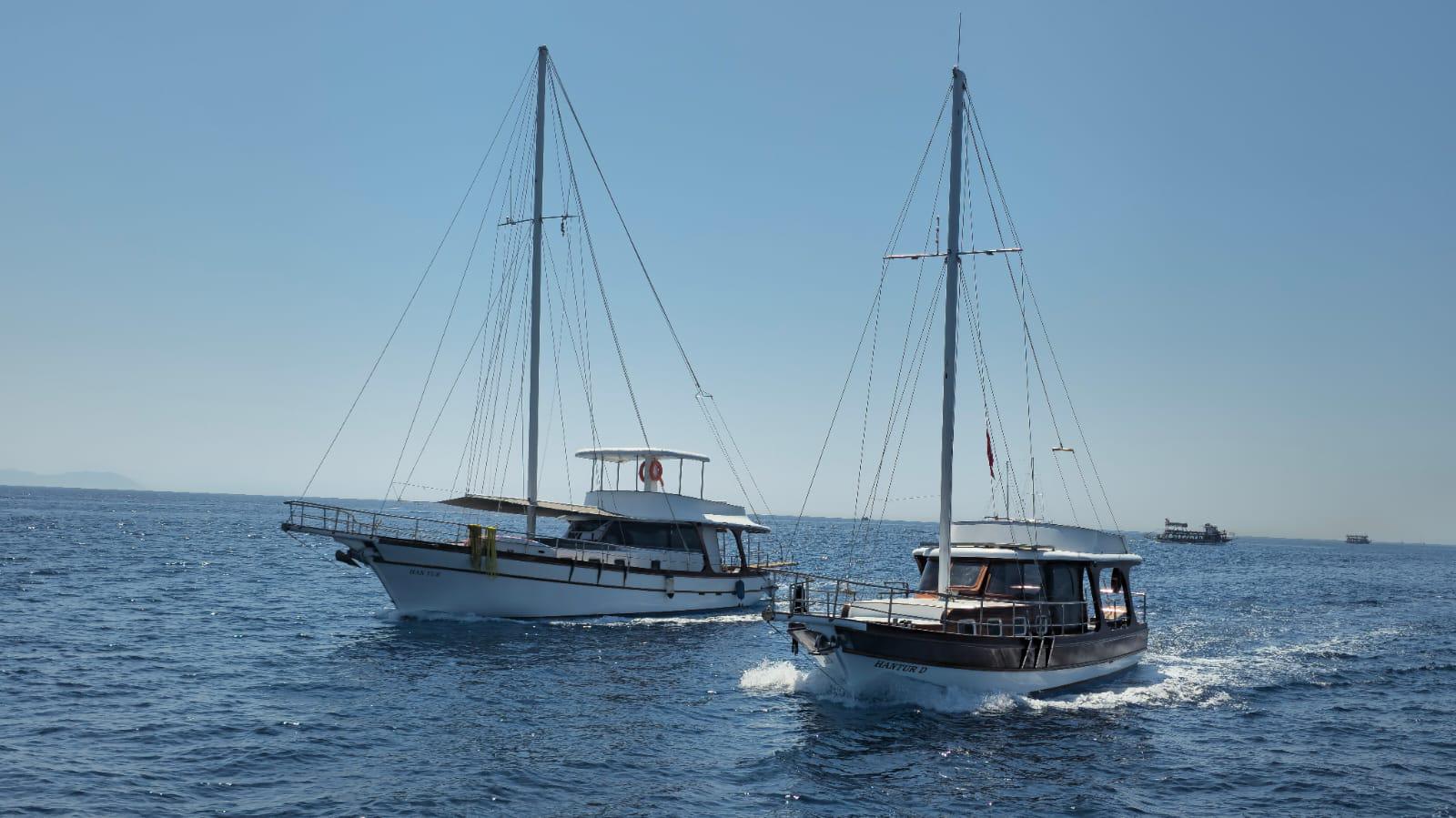 ff02ff5d-e12d-495b-b1ad-1e7330e677b9